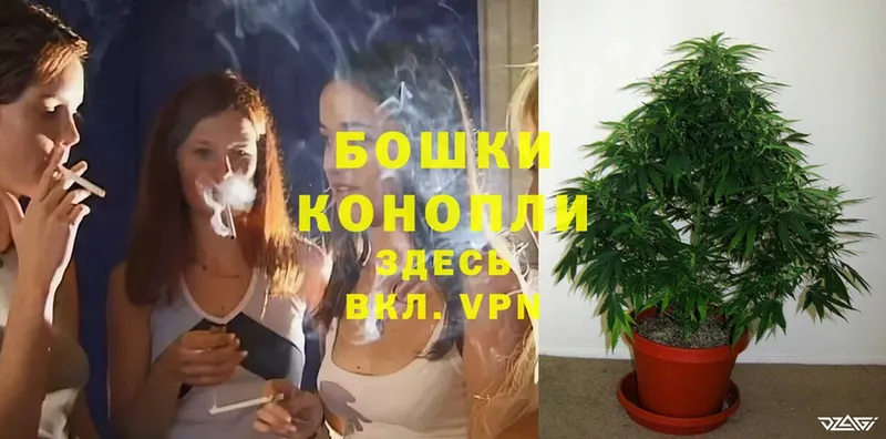 Каннабис OG Kush  Братск 